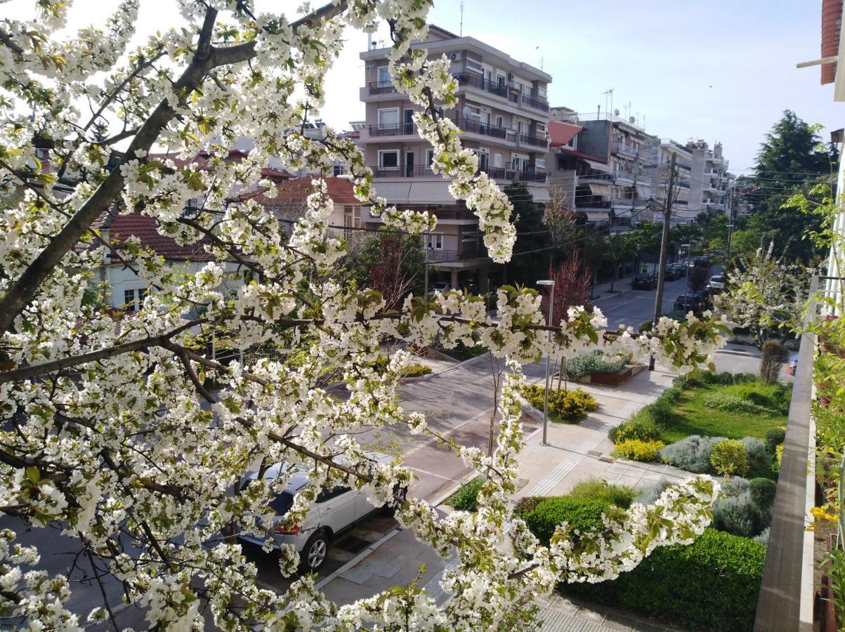 Olympia Hotel Edessa Exterior foto