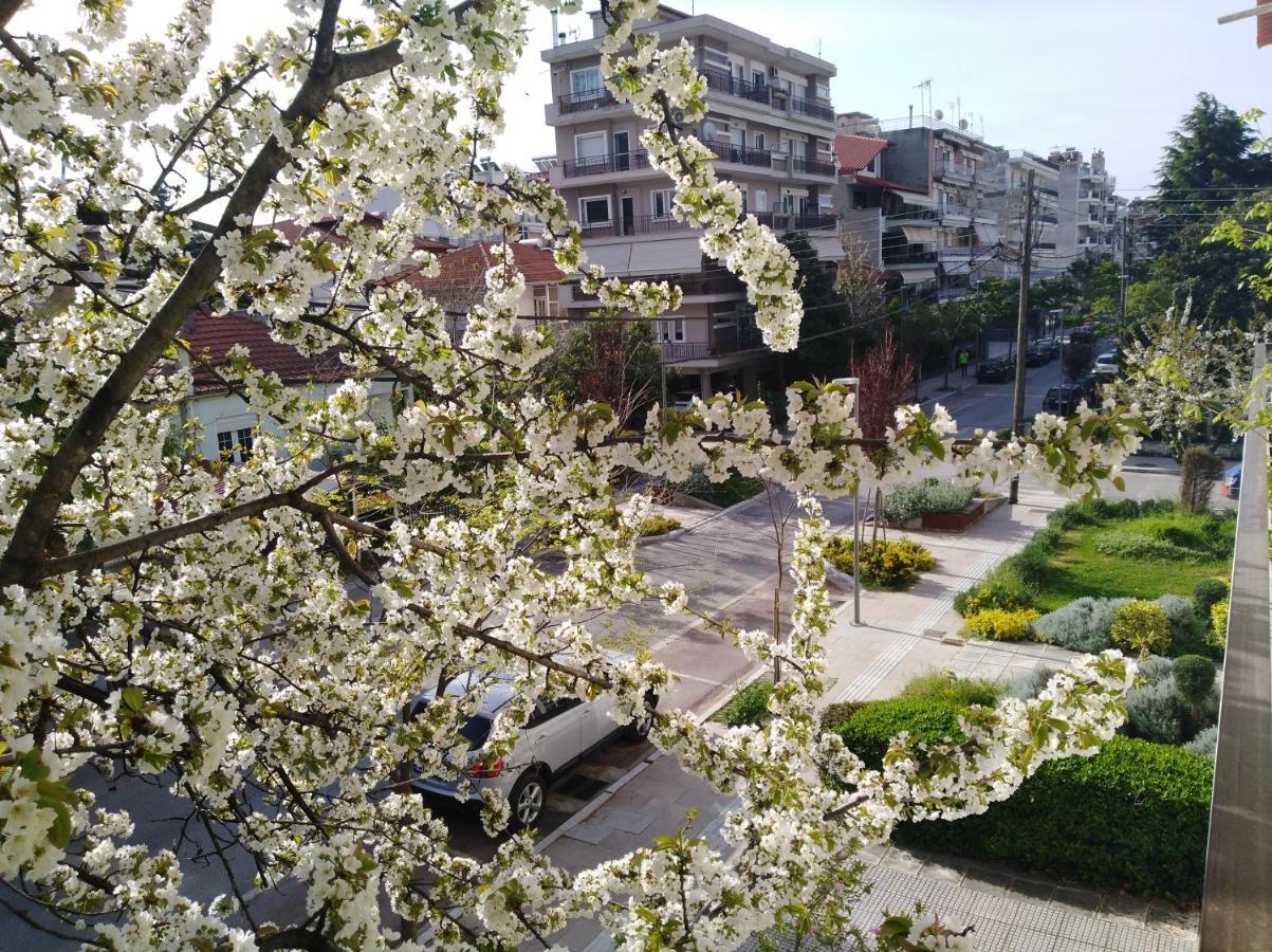 Olympia Hotel Edessa Exterior foto